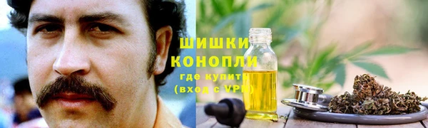 прущая мука Богданович