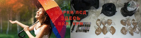 шишки Белоозёрский