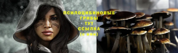 мяу мяу мука Богородск